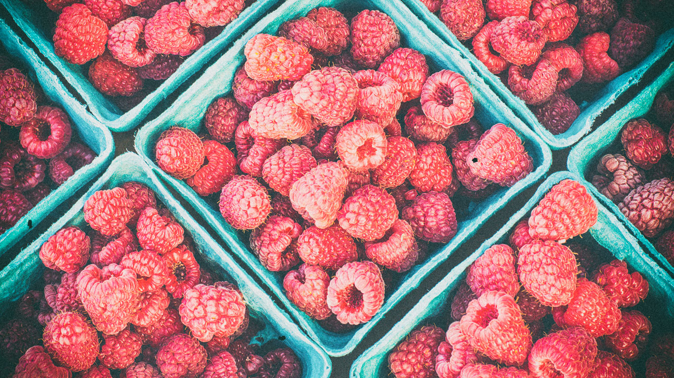 Ernähren Ernähren