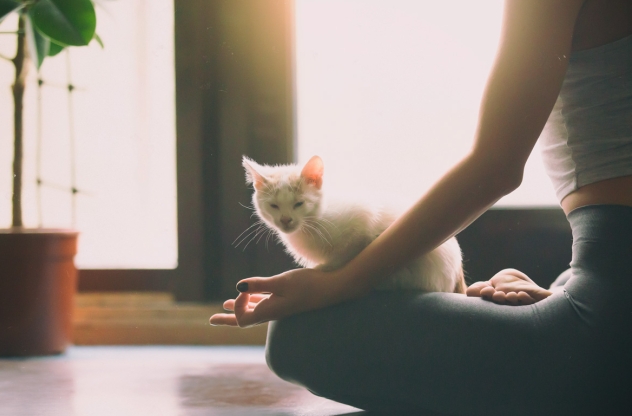 Meditation Lotussitz