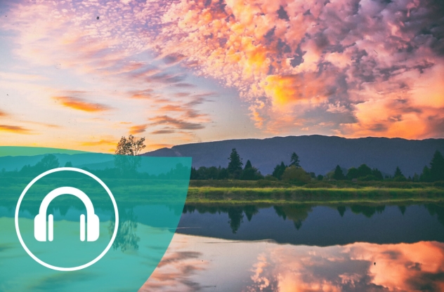 Podcast: Ulrich Hoffmann