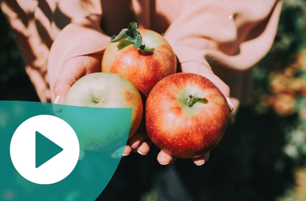 5 Tipps gesunde Ernährung