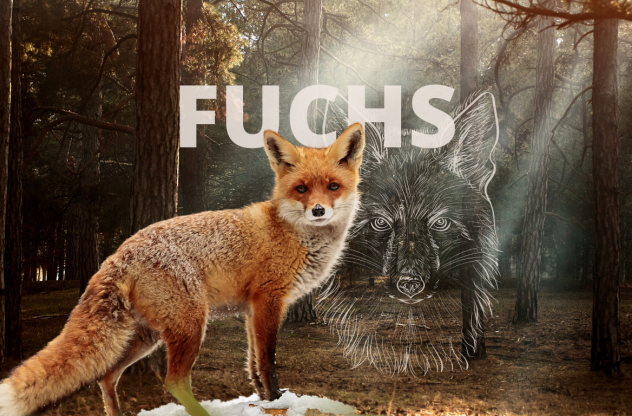 Krafttier Fuchs