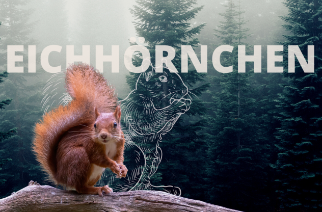 Krafttier Eichhörnchen Krafttier Eichhörnchen