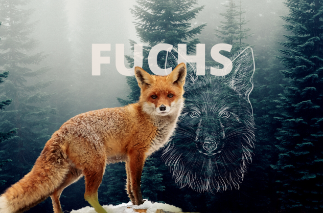 Krafttier Fuchs Krafttier Fuchs