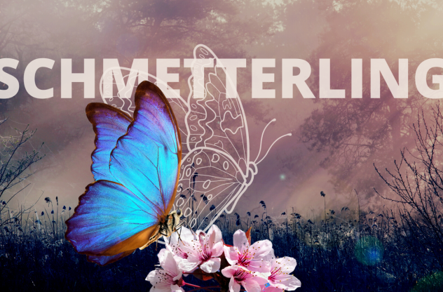 Krafttier Schmetterling blauer Falter auf Kirschblüte