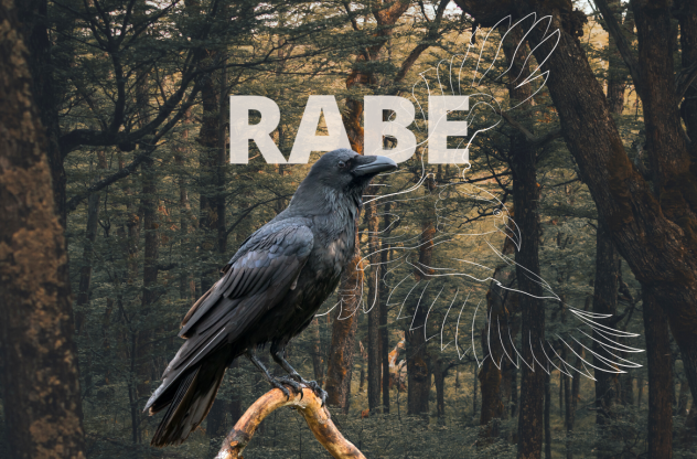 Rabe Krafttier Rabe Krafttier