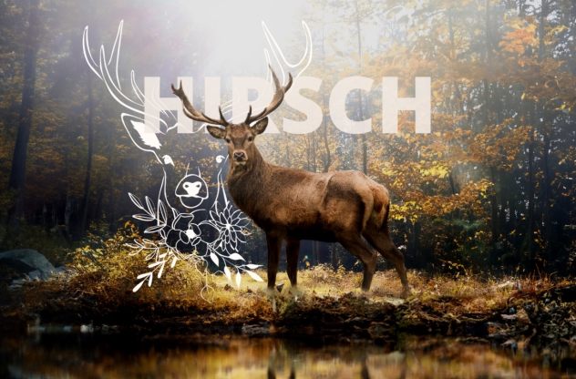 Krafttier Hirsch - Bedeutung, Botschaft und Schutzstrategien Krafttier Hirsch - Bedeutung, Botschaft und Schutzstrategien