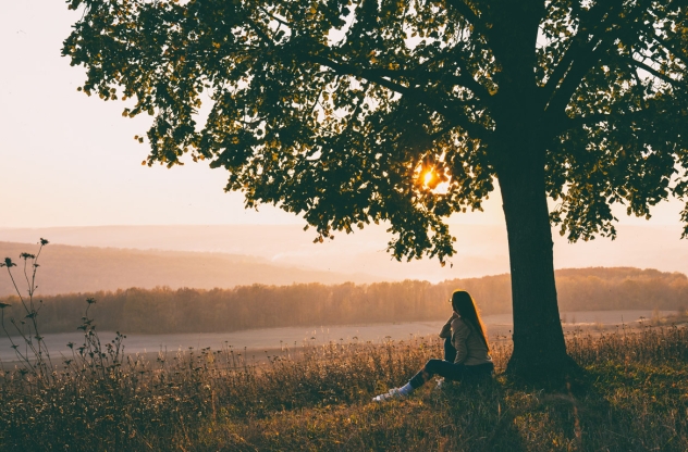 Teaserbild zum Artikel Spirituelle Ahnenarbeit. Eine junge Frau sitzt unter einem Baum und schaut in die Ferne.