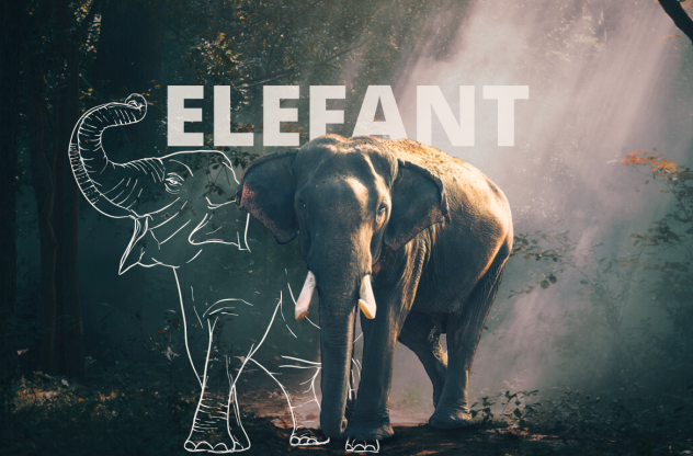 Krafttier Elefant: Bedeutung, Botschaft und Schutzstrategien Ein Elefant lÀuft durch einen dichten Wald. Neben ihm sieht man eine Skizzierung eines Elefanten.