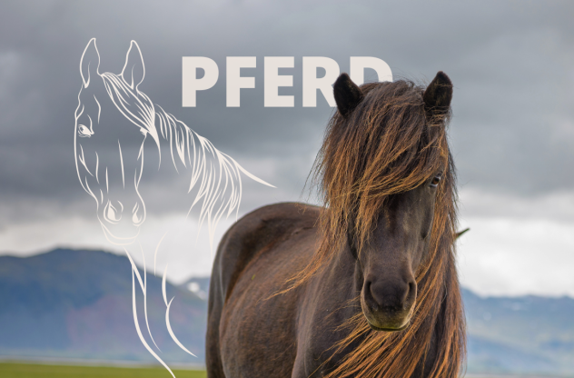 Krafttier Pferd: Bedeutung, Botschaft und Schutzstrategien Ein schwarzes Pferd mit langer MĂ€hne steht vor einer wolkenverhangenen Landschaft | Krafttier Pferd