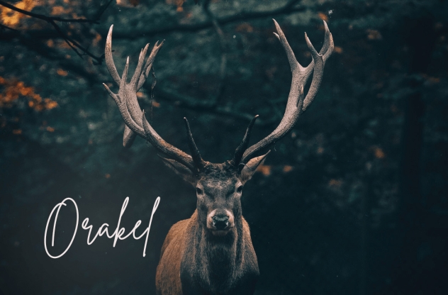Krafttierkarte ziehen: Ein Hirsch mit eindrucksvollem Geweih steht im dunklen Wald. Daneben steht das Wort „Orakel“.