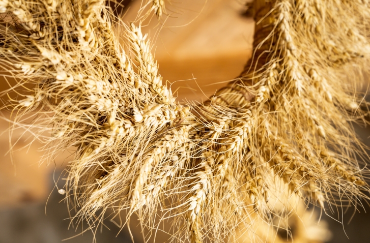 Lughnasadh: Nahaufnahme eines traditionellen Erntekranzes aus gebundenen Weizenähren im warmen Sonnenlicht.