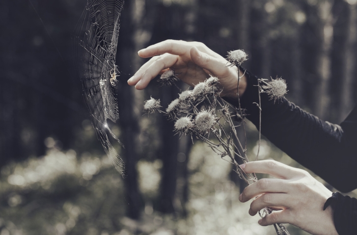 Hände halten einen getrockneten Blumenstrauß und berühren beinahe ein Spinnennetz. Im Hintergrund ist Wald. | Samhain