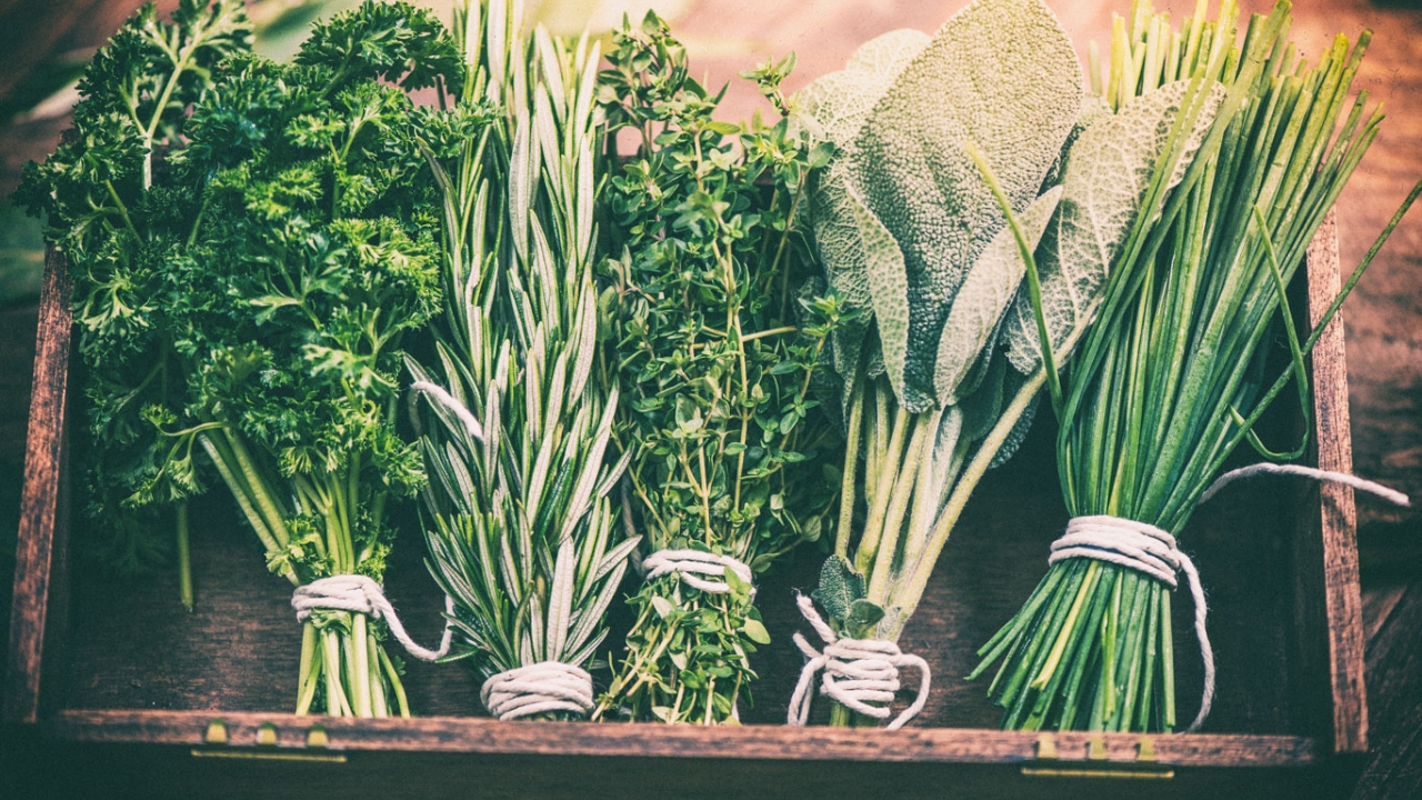 Gesunde Kräuter: Das wächst im Garten einfachganzleben-gesunde-ernaerung-gesunde-kraeuter