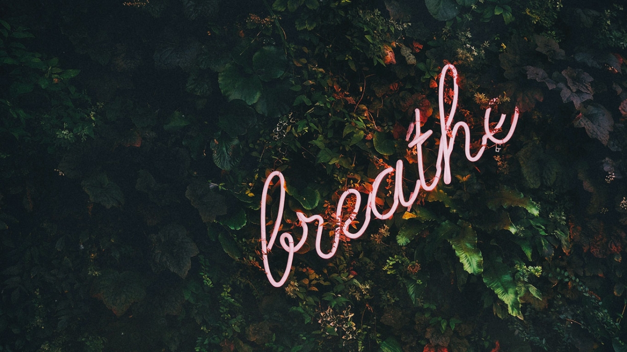 Innere Ruhe finden mit Yoga