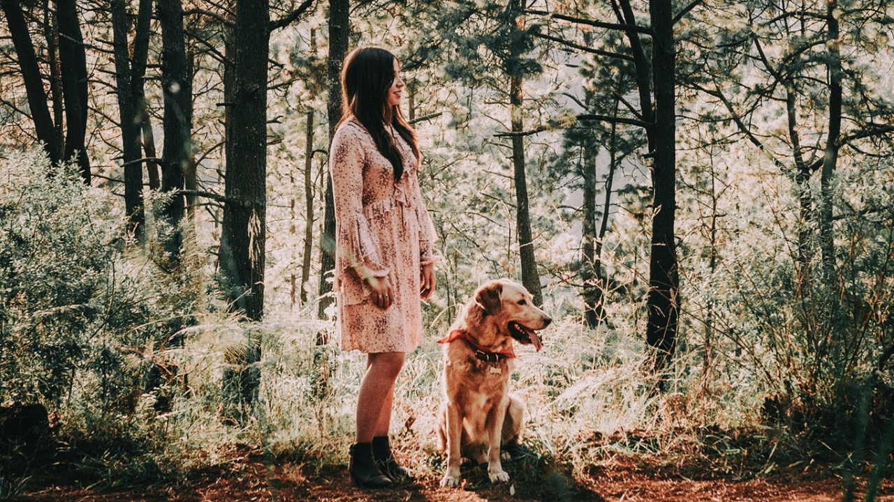 Stresskiller Haustier Stresskiller Haustier