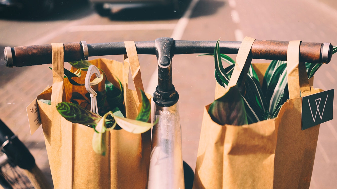 Plastikmüll vermeiden Plastikmüll vermeiden