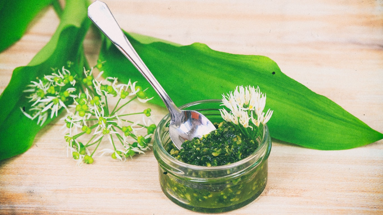 Bärlauchpesto Bärlauchpesto