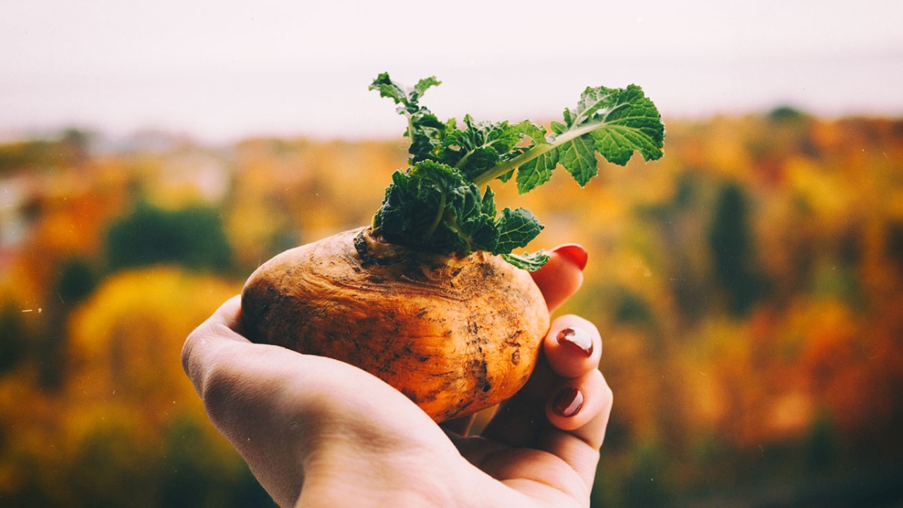 Basische Ernährung einfachganzleben-gesunde-ernaehrung-basische-ernaehrung