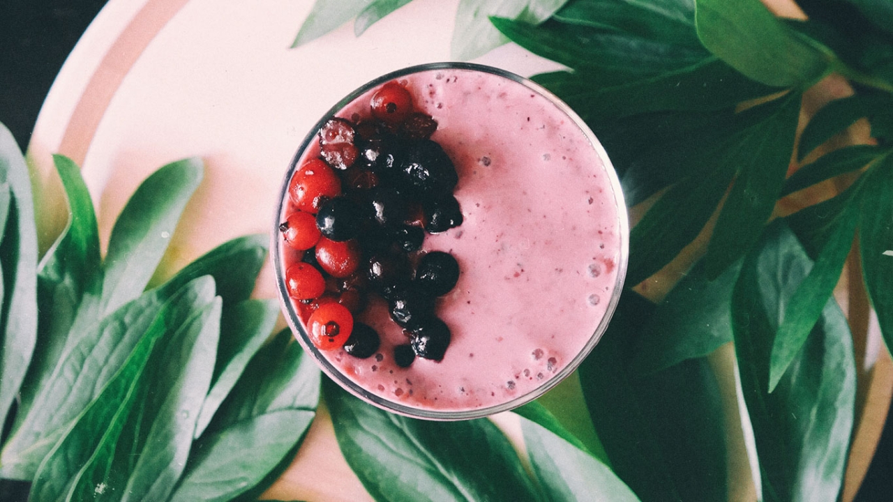 Dr. Zschocke Darmbakteriengemäße Ernährung Smoothie mit Blaubeeren und Johannisbeeren