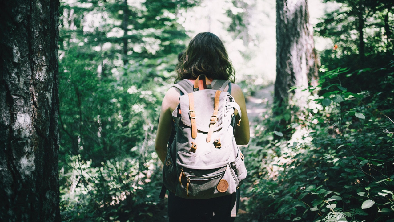 Wandern Wandern