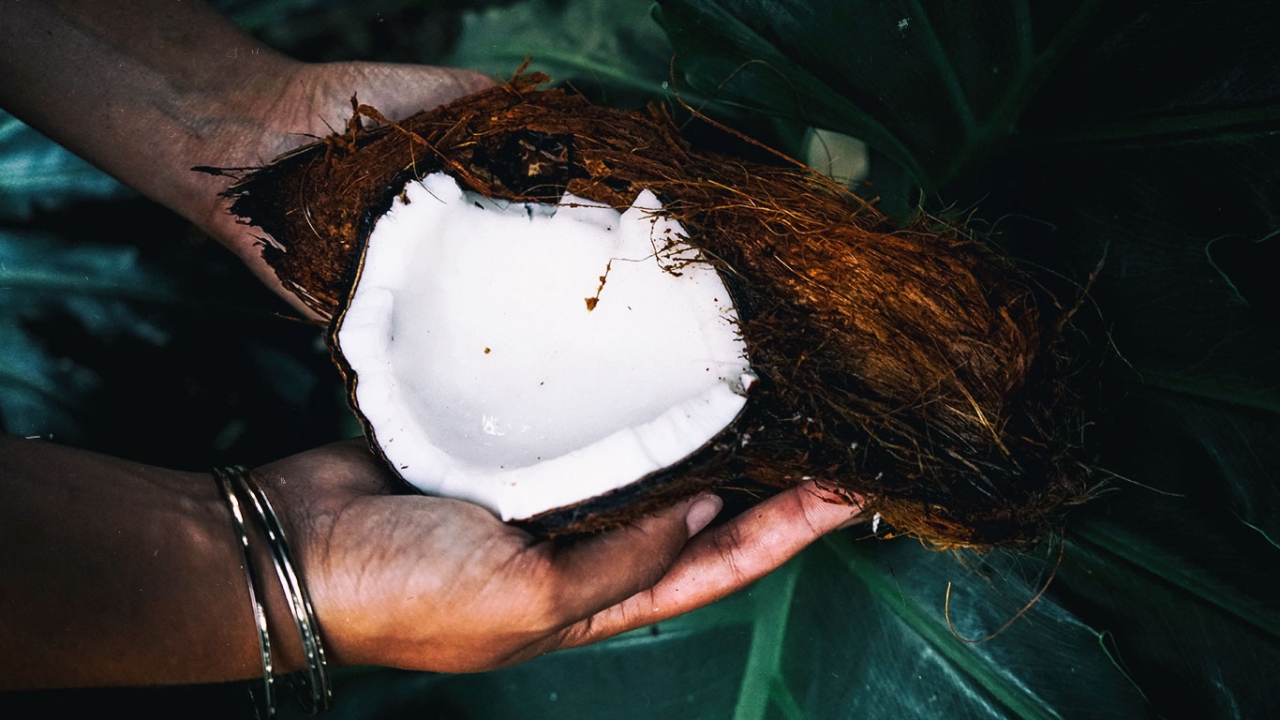 Stefanie Reeb: Kokosöl - Die Ernährungsirrtümer