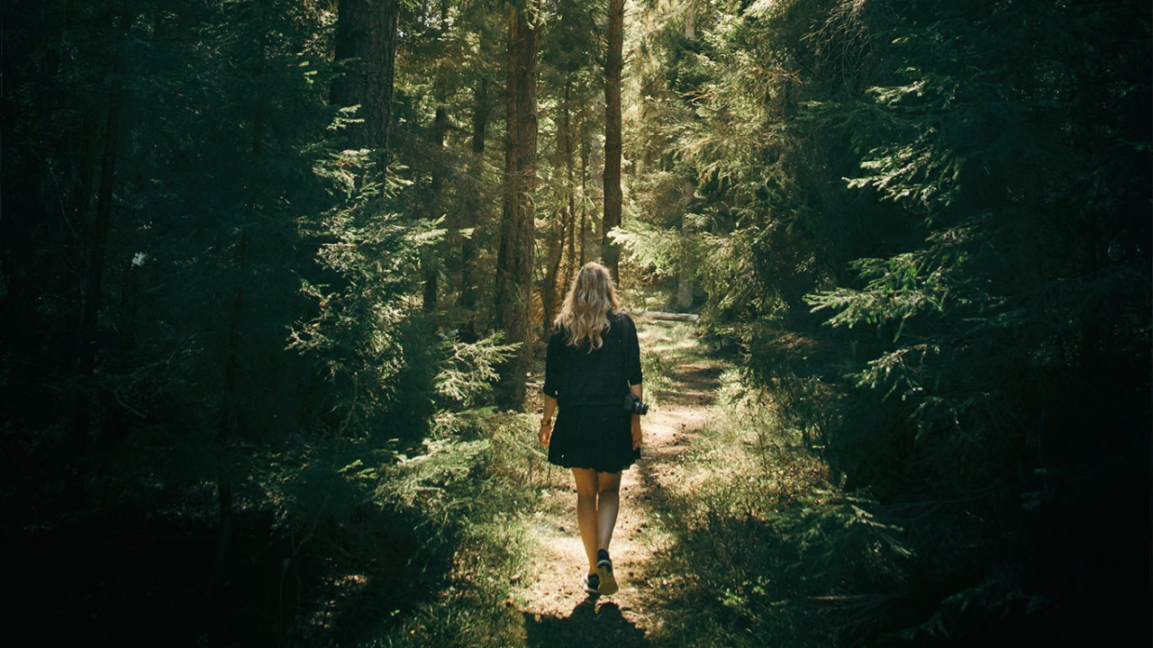 frau-geht-durch-wald-waldbaden frau-geht-durch-wald-waldbaden