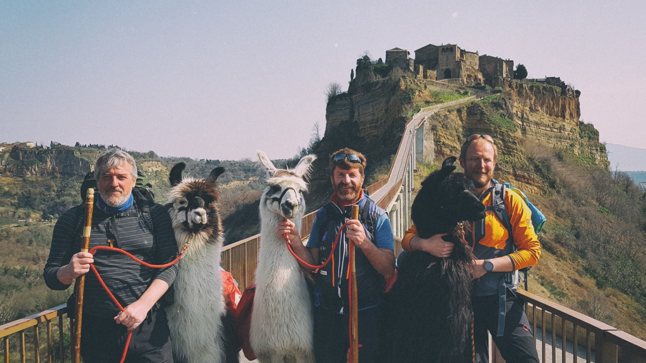 Mit drei Lamas nach Rom Mit drei Lamas nach Rom