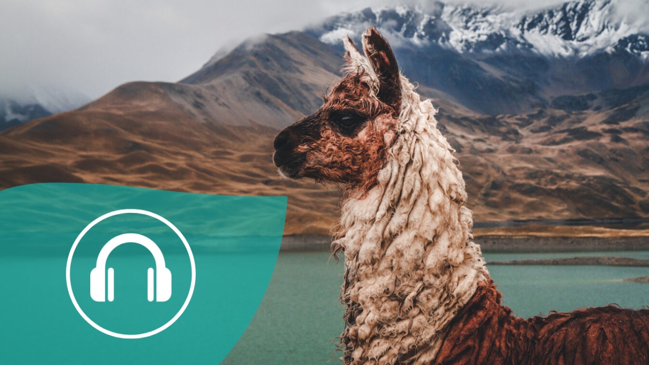Wandern Pilgern mit Lamas Wandern Pilgern mit Lamas