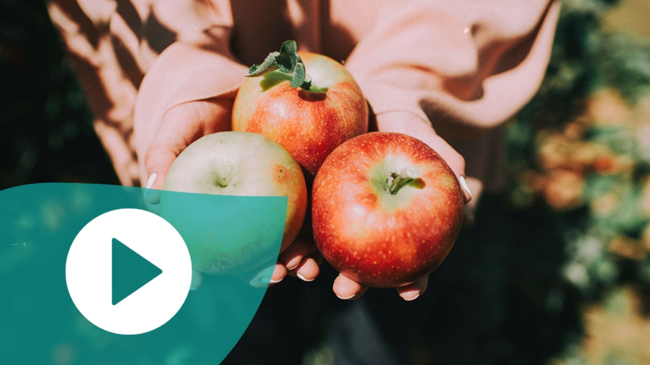 5 Tipps gesunde Ernährung