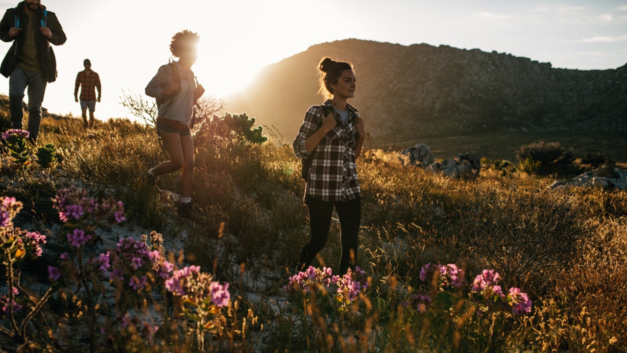 Vier Personen wandern bei Sonnenuntergang durch eine hügelige Landschaft mit Wildblumen.