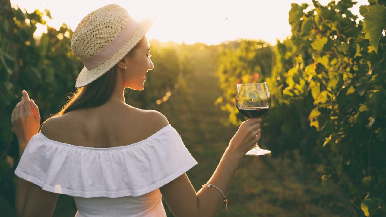 Frau hält Rotwein zwischen Weinreben Frau hält Rotwein zwischen Weinreben