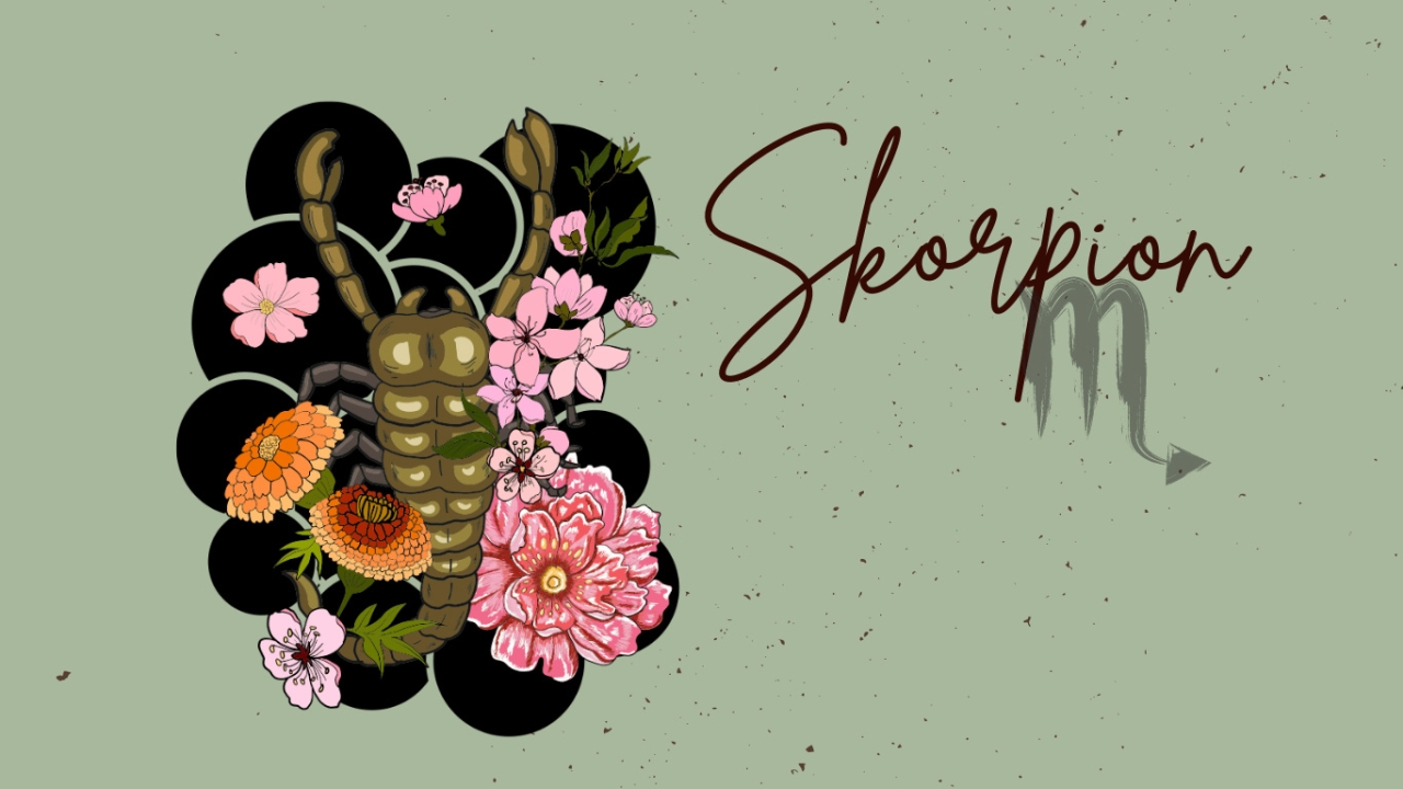 Sternzeichen Skorpion Sternzeichen Skorpion