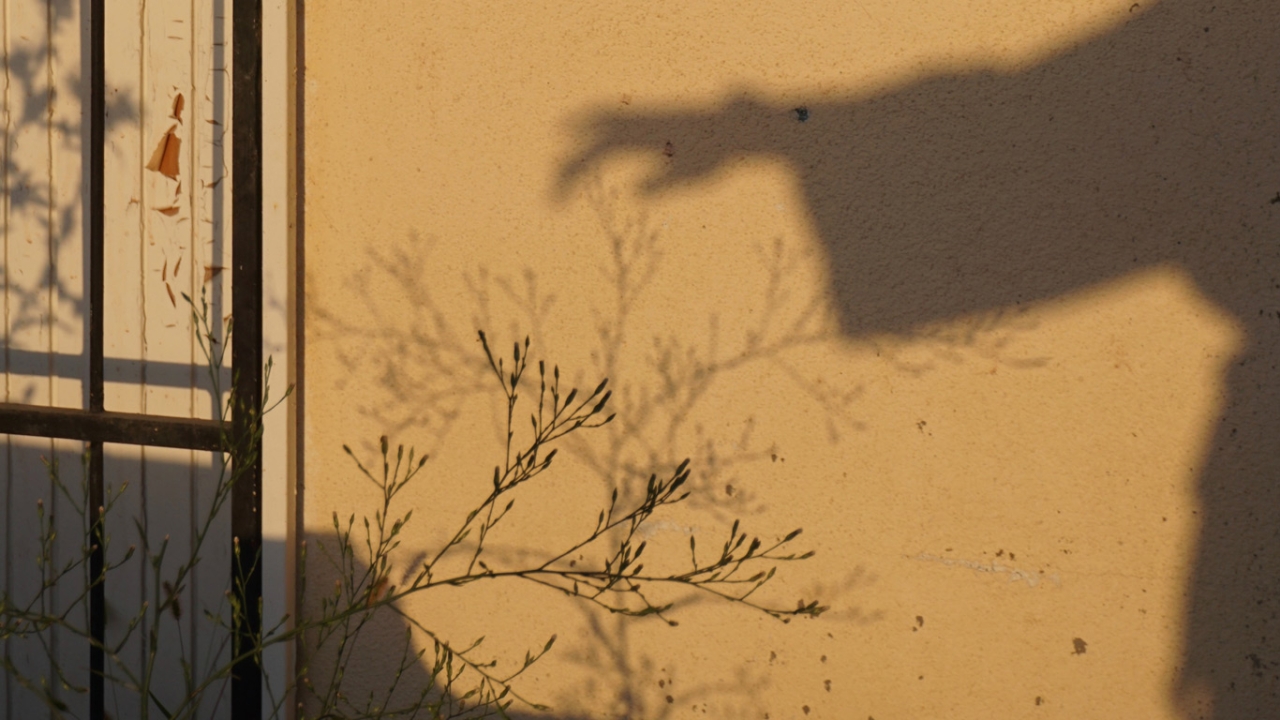 Schattenarm Arm wirft Schatten an die Wand
