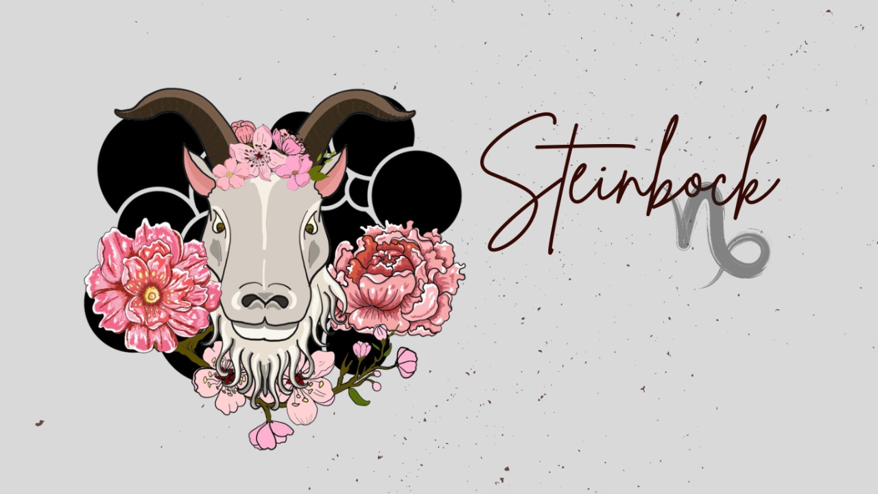 Sternzeichen Steinbock