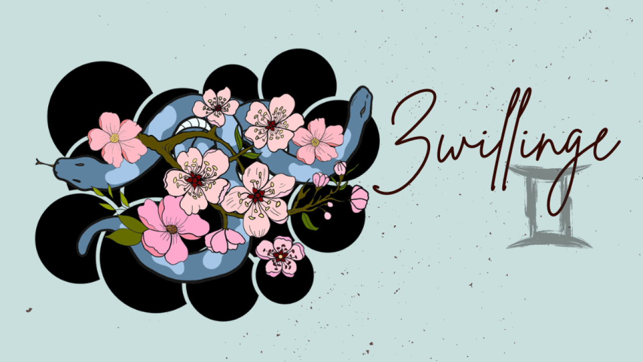 Sternzeichen Zwillinge