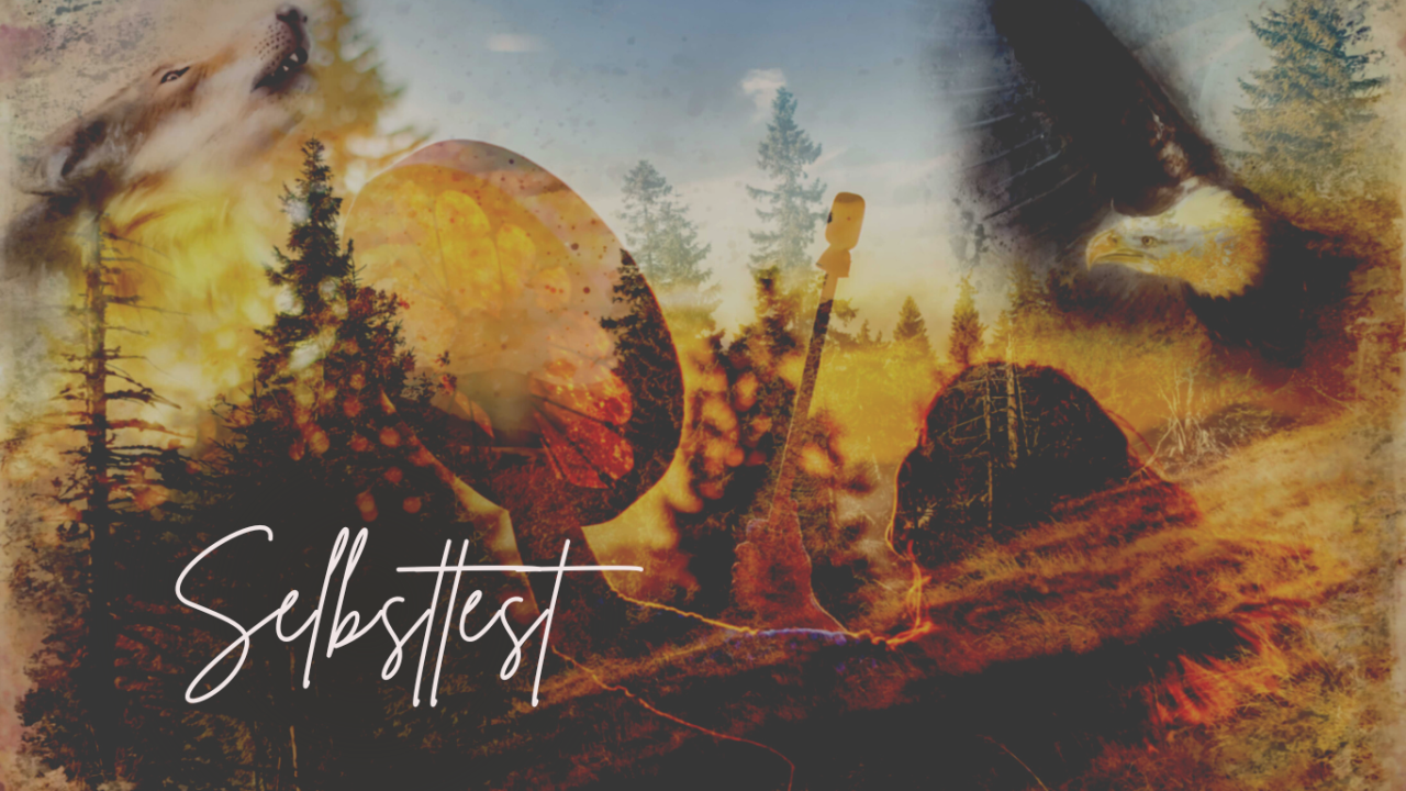 Krafttier-Test: Was ist mein Krafttier