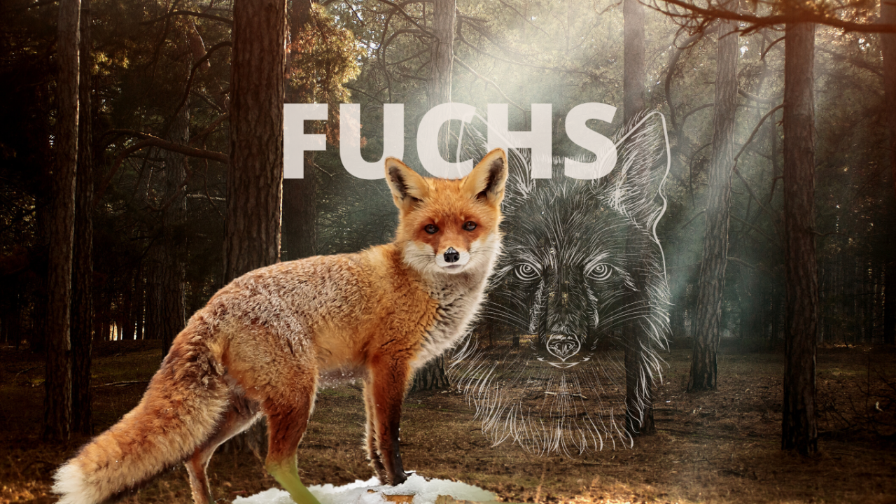 Krafttier Fuchs