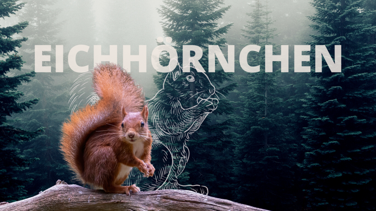 Krafttier Eichhörnchen