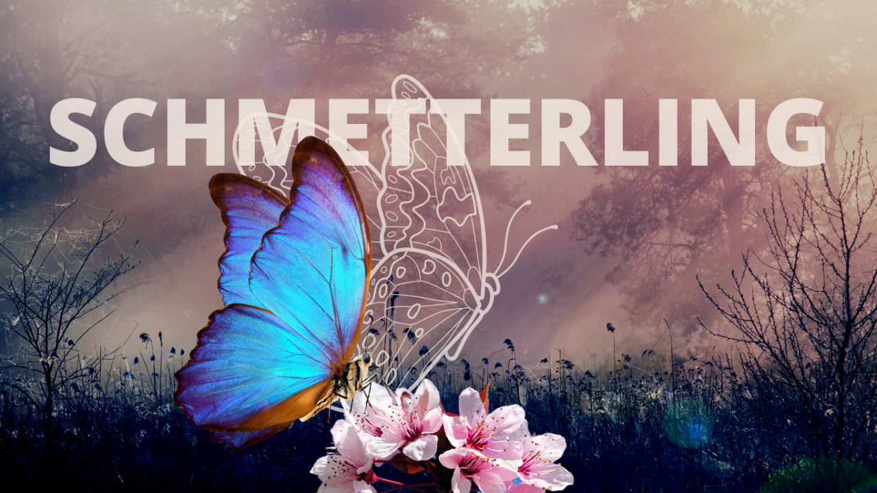 Krafttier Schmetterling blauer Falter auf Kirschblüte