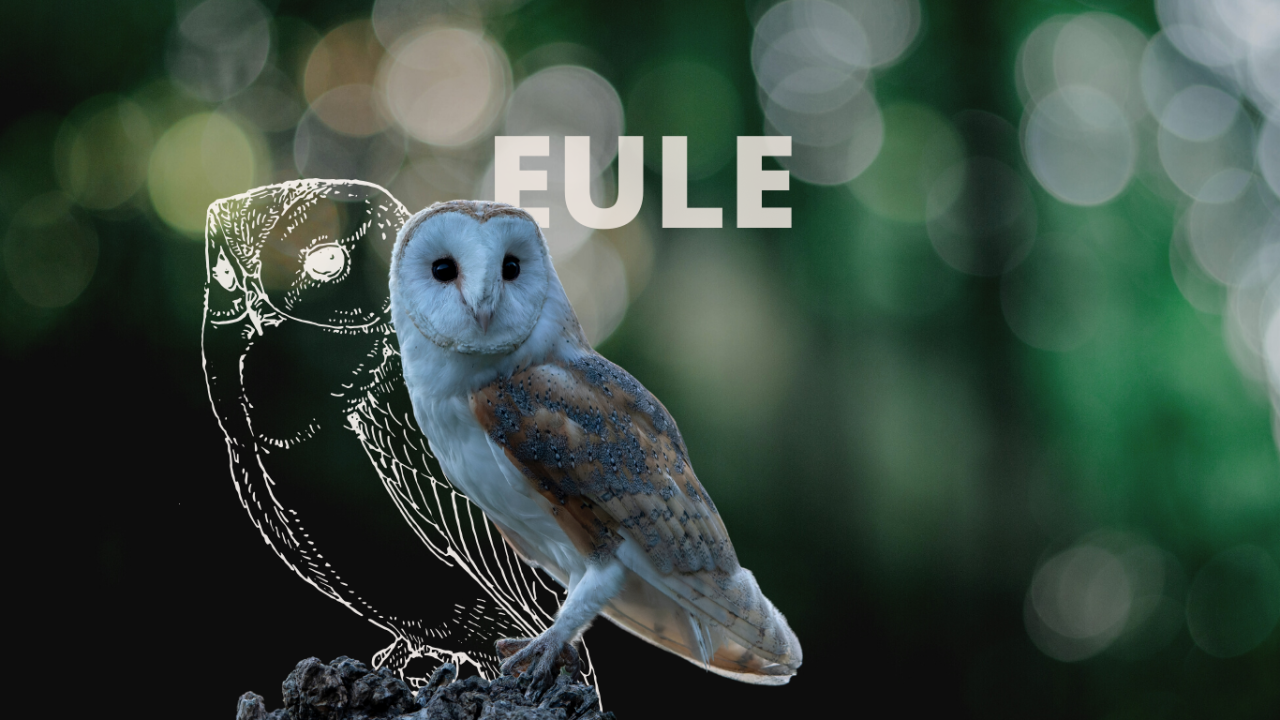 Krafttier Eule - Bedeutung, Botschaft und Schutzstrategien