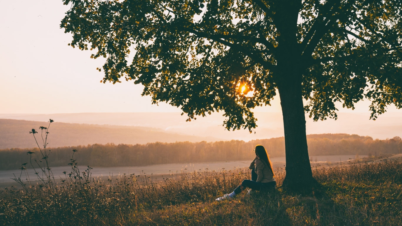 Spirituelle Ahnenarbeit: Wie du deine Ahnenreihe ehren und heilen kannst Teaserbild zum Artikel Spirituelle Ahnenarbeit. Eine junge Frau sitzt unter einem Baum und schaut in die Ferne.