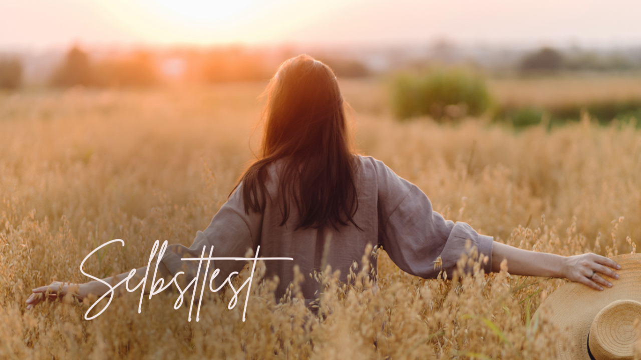 Frau von hinten in Weizenfeld im Sonnenuntergang Introvertiert Extrovertiert Test