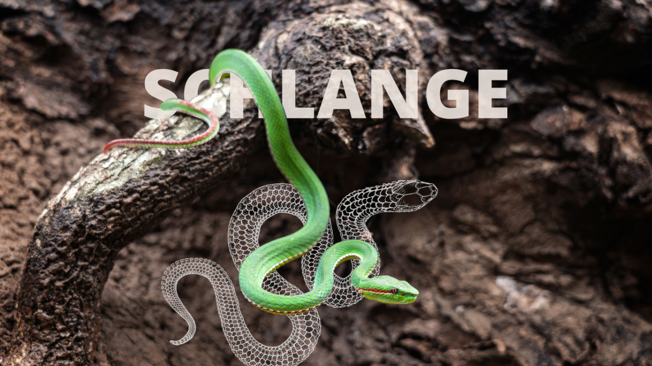 Eine Schlange hängt von einem Baum Krafttier Schlange