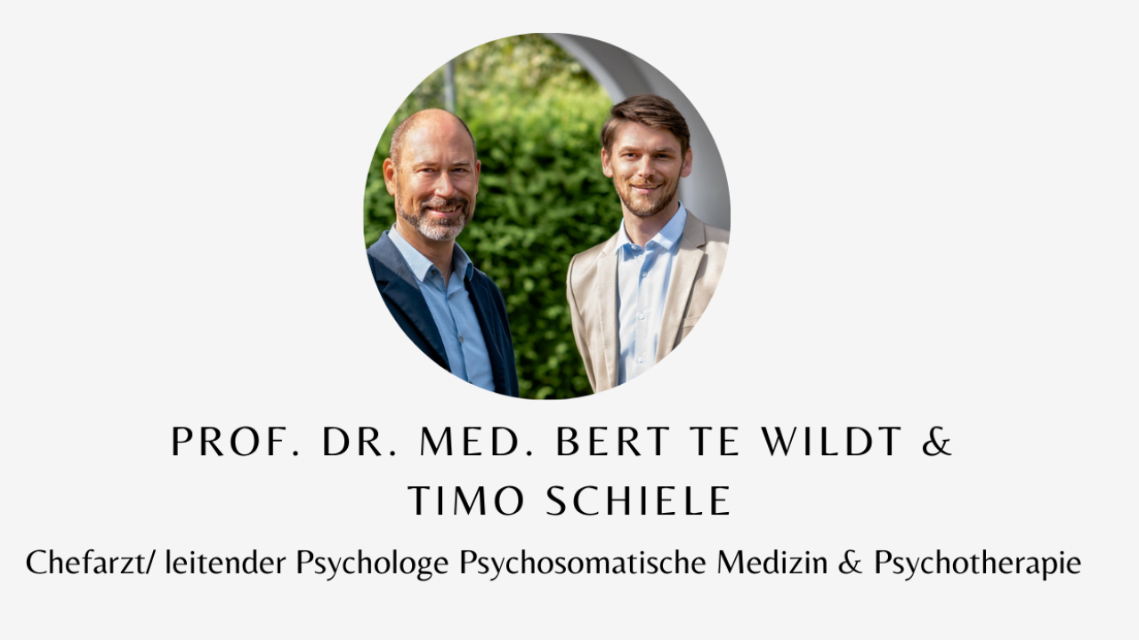 Prof. Dr. med. Bert te Wildt &amp;  Timo Schiele_Chefarzt/ leitender Psychologe Psychosomatische Medizin &amp; Psychotherapie
