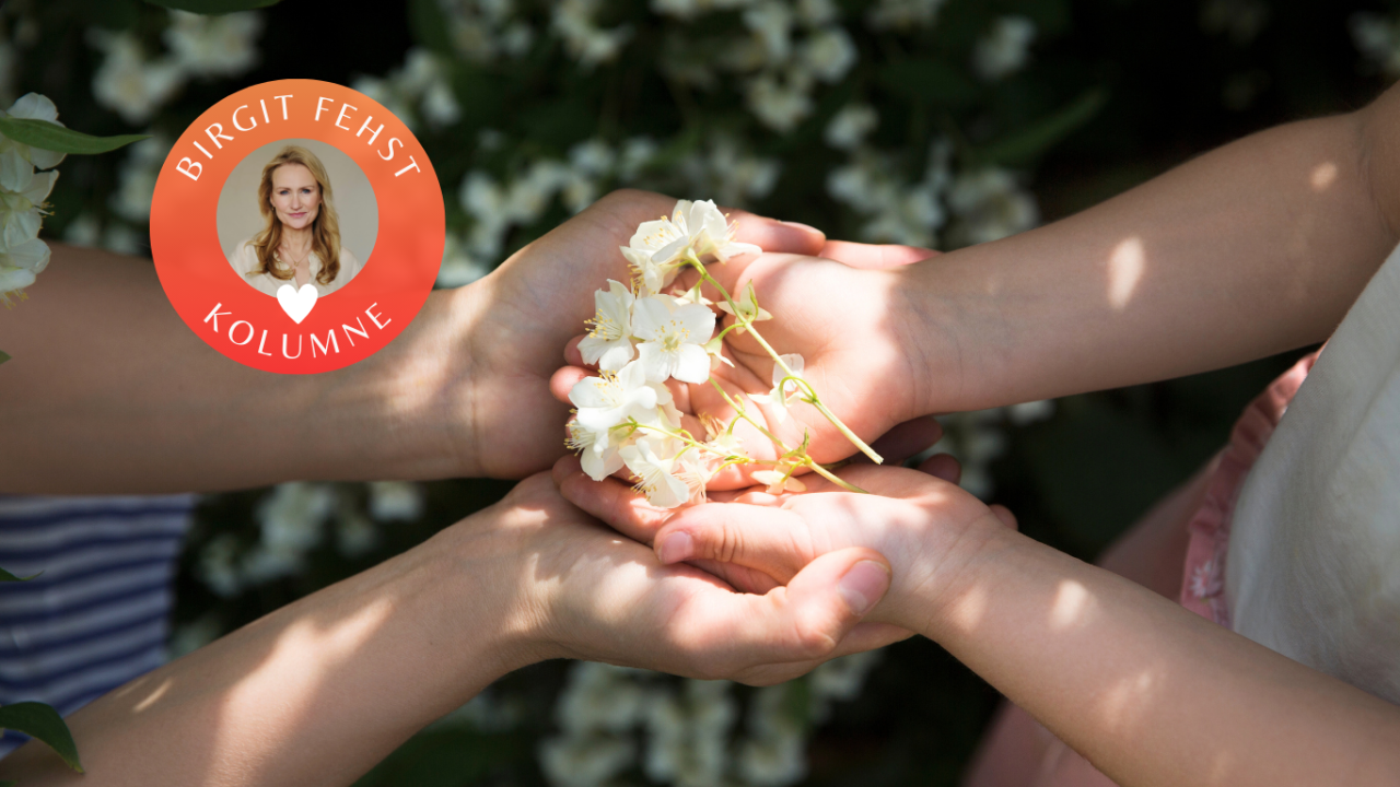 Zwei Hände halten sanft einen Zweig mit weißen Blüten im Sonnenlicht. Oben links ist die Aufschrift &quot;Birgit Fehst Kolumne&quot; zu sehen. | Sichere Bindung
