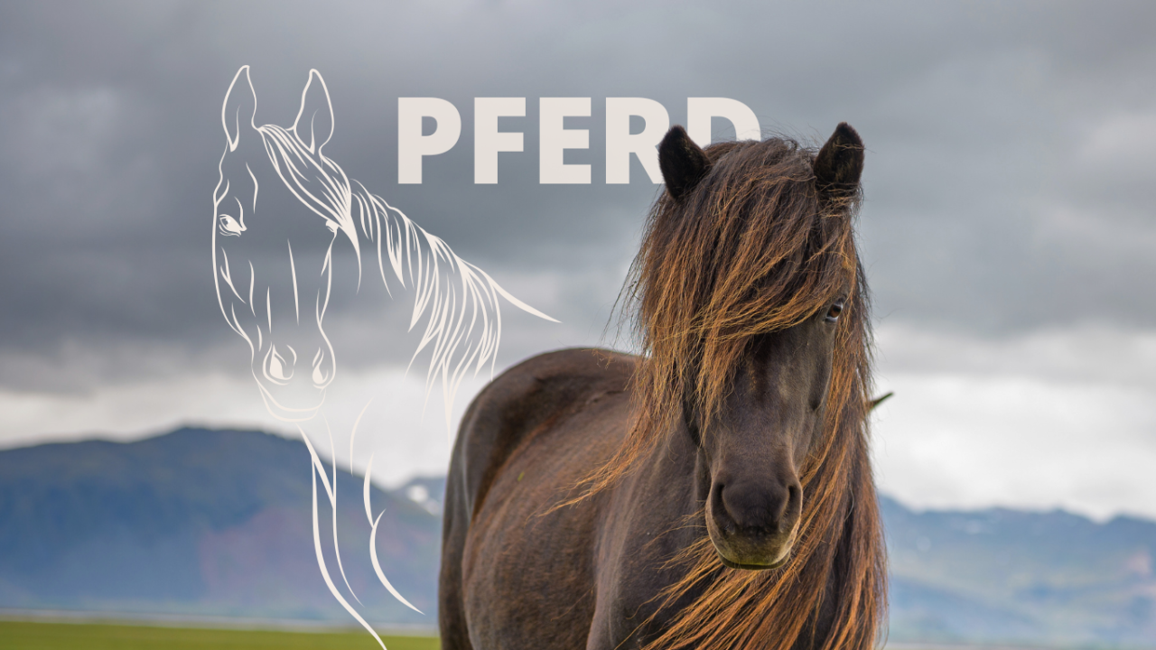 Ein schwarzes Pferd mit langer Mähne steht vor einer wolkenverhangenen Landschaft | Krafttier Pferd