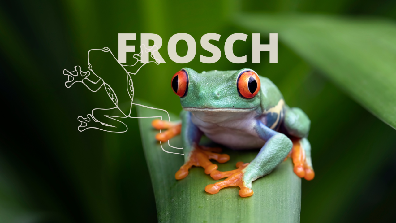 Frosch mit sitzt auf einem Blatt | Krafttier Frosch